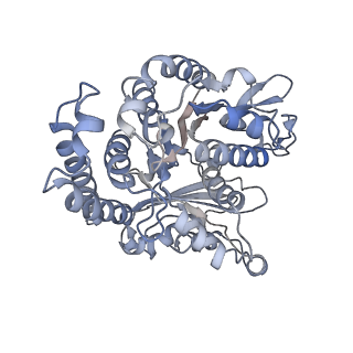 35823_8iyj_FL_v1-0
Cryo-EM structure of the 48-nm repeat doublet microtubule from mouse sperm