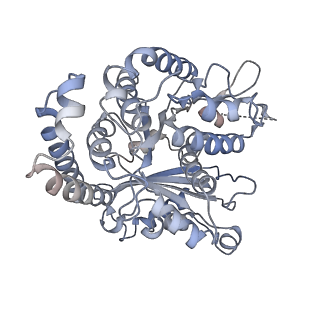 35823_8iyj_FM_v1-0
Cryo-EM structure of the 48-nm repeat doublet microtubule from mouse sperm