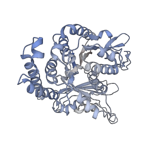 35823_8iyj_FN_v1-0
Cryo-EM structure of the 48-nm repeat doublet microtubule from mouse sperm