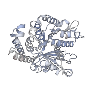 35823_8iyj_FO_v1-0
Cryo-EM structure of the 48-nm repeat doublet microtubule from mouse sperm