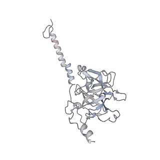35823_8iyj_F_v1-0
Cryo-EM structure of the 48-nm repeat doublet microtubule from mouse sperm