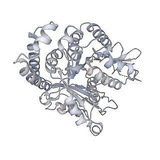 35823_8iyj_GA_v1-0
Cryo-EM structure of the 48-nm repeat doublet microtubule from mouse sperm
