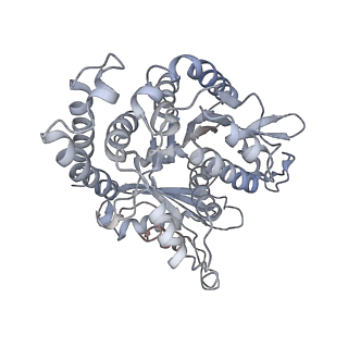 35823_8iyj_GB_v1-0
Cryo-EM structure of the 48-nm repeat doublet microtubule from mouse sperm
