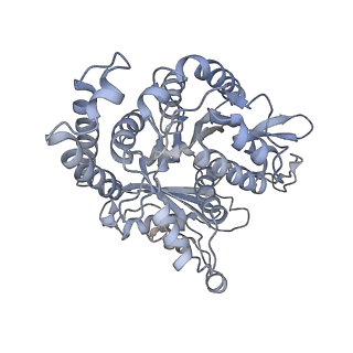 35823_8iyj_GD_v1-0
Cryo-EM structure of the 48-nm repeat doublet microtubule from mouse sperm
