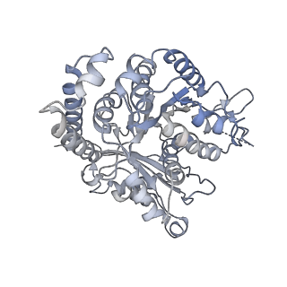 35823_8iyj_GE_v1-0
Cryo-EM structure of the 48-nm repeat doublet microtubule from mouse sperm