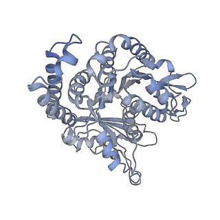 35823_8iyj_GF_v1-0
Cryo-EM structure of the 48-nm repeat doublet microtubule from mouse sperm