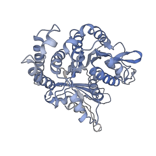 35823_8iyj_GL_v1-0
Cryo-EM structure of the 48-nm repeat doublet microtubule from mouse sperm