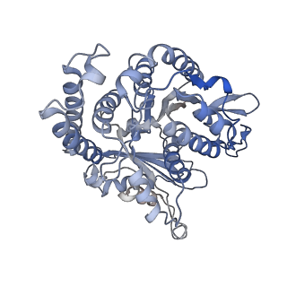 35823_8iyj_GN_v1-0
Cryo-EM structure of the 48-nm repeat doublet microtubule from mouse sperm