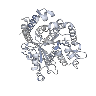 35823_8iyj_HA_v1-0
Cryo-EM structure of the 48-nm repeat doublet microtubule from mouse sperm