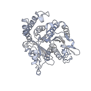35823_8iyj_HB_v1-0
Cryo-EM structure of the 48-nm repeat doublet microtubule from mouse sperm