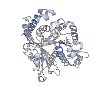 35823_8iyj_HC_v1-0
Cryo-EM structure of the 48-nm repeat doublet microtubule from mouse sperm