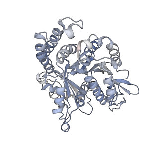 35823_8iyj_HD_v1-0
Cryo-EM structure of the 48-nm repeat doublet microtubule from mouse sperm