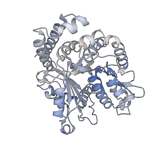 35823_8iyj_HE_v1-0
Cryo-EM structure of the 48-nm repeat doublet microtubule from mouse sperm