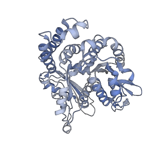 35823_8iyj_HF_v1-0
Cryo-EM structure of the 48-nm repeat doublet microtubule from mouse sperm