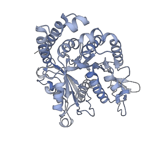 35823_8iyj_HG_v1-0
Cryo-EM structure of the 48-nm repeat doublet microtubule from mouse sperm