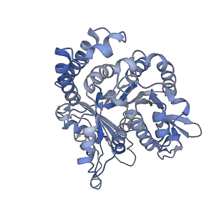 35823_8iyj_HH_v1-0
Cryo-EM structure of the 48-nm repeat doublet microtubule from mouse sperm