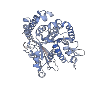 35823_8iyj_HI_v1-0
Cryo-EM structure of the 48-nm repeat doublet microtubule from mouse sperm
