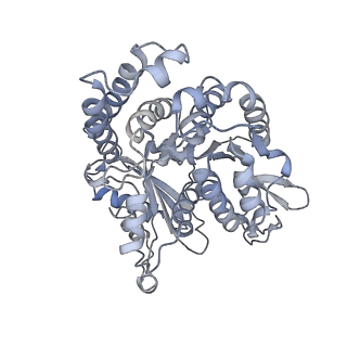 35823_8iyj_HJ_v1-0
Cryo-EM structure of the 48-nm repeat doublet microtubule from mouse sperm