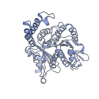 35823_8iyj_HL_v1-0
Cryo-EM structure of the 48-nm repeat doublet microtubule from mouse sperm