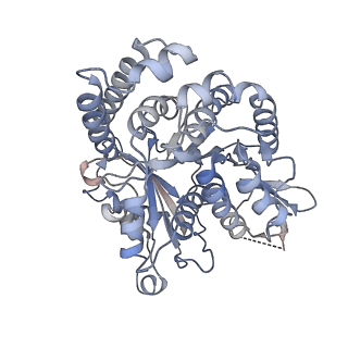 35823_8iyj_HM_v1-0
Cryo-EM structure of the 48-nm repeat doublet microtubule from mouse sperm