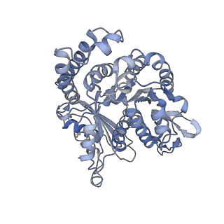 35823_8iyj_HN_v1-0
Cryo-EM structure of the 48-nm repeat doublet microtubule from mouse sperm