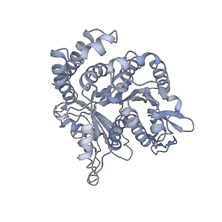 35823_8iyj_HP_v1-0
Cryo-EM structure of the 48-nm repeat doublet microtubule from mouse sperm