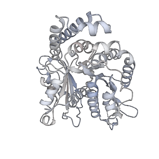 35823_8iyj_IA_v1-0
Cryo-EM structure of the 48-nm repeat doublet microtubule from mouse sperm
