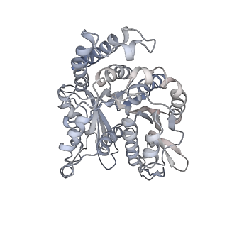 35823_8iyj_IB_v1-0
Cryo-EM structure of the 48-nm repeat doublet microtubule from mouse sperm