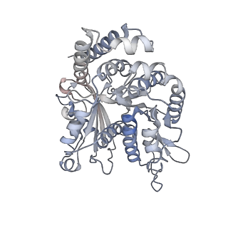 35823_8iyj_IC_v1-0
Cryo-EM structure of the 48-nm repeat doublet microtubule from mouse sperm