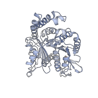 35823_8iyj_ID_v1-0
Cryo-EM structure of the 48-nm repeat doublet microtubule from mouse sperm