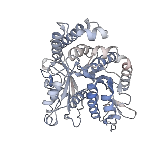 35823_8iyj_IE_v1-0
Cryo-EM structure of the 48-nm repeat doublet microtubule from mouse sperm