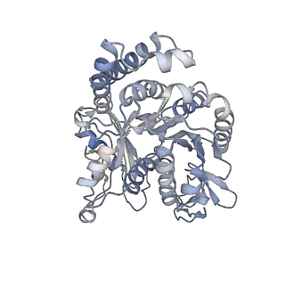 35823_8iyj_IF_v1-0
Cryo-EM structure of the 48-nm repeat doublet microtubule from mouse sperm