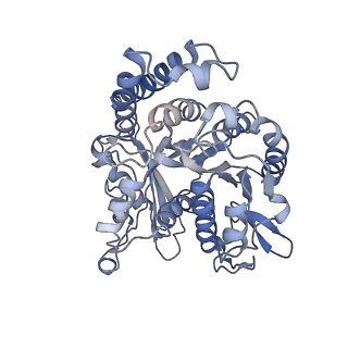 35823_8iyj_IH_v1-0
Cryo-EM structure of the 48-nm repeat doublet microtubule from mouse sperm