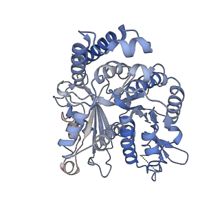 35823_8iyj_II_v1-0
Cryo-EM structure of the 48-nm repeat doublet microtubule from mouse sperm