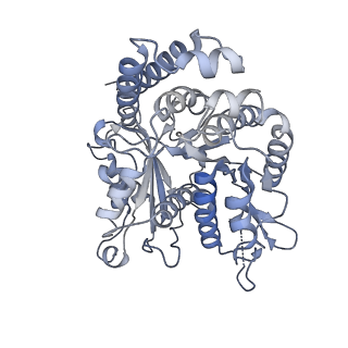 35823_8iyj_IK_v1-0
Cryo-EM structure of the 48-nm repeat doublet microtubule from mouse sperm