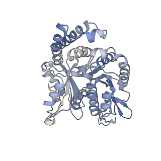 35823_8iyj_IL_v1-0
Cryo-EM structure of the 48-nm repeat doublet microtubule from mouse sperm