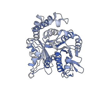 35823_8iyj_IN_v1-0
Cryo-EM structure of the 48-nm repeat doublet microtubule from mouse sperm