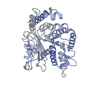 35823_8iyj_IO_v1-0
Cryo-EM structure of the 48-nm repeat doublet microtubule from mouse sperm