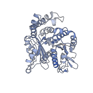 35823_8iyj_IP_v1-0
Cryo-EM structure of the 48-nm repeat doublet microtubule from mouse sperm