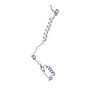 35823_8iyj_J1_v1-0
Cryo-EM structure of the 48-nm repeat doublet microtubule from mouse sperm