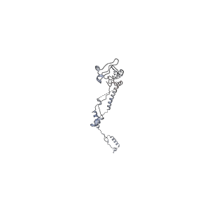 35823_8iyj_J3_v1-0
Cryo-EM structure of the 48-nm repeat doublet microtubule from mouse sperm