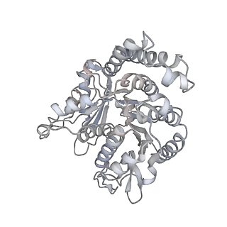 35823_8iyj_JB_v1-0
Cryo-EM structure of the 48-nm repeat doublet microtubule from mouse sperm