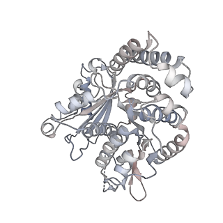 35823_8iyj_JC_v1-0
Cryo-EM structure of the 48-nm repeat doublet microtubule from mouse sperm