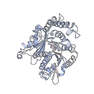 35823_8iyj_JD_v1-0
Cryo-EM structure of the 48-nm repeat doublet microtubule from mouse sperm