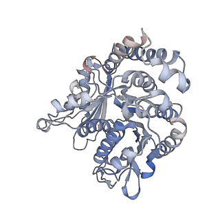 35823_8iyj_JH_v1-0
Cryo-EM structure of the 48-nm repeat doublet microtubule from mouse sperm