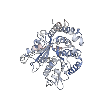 35823_8iyj_JI_v1-0
Cryo-EM structure of the 48-nm repeat doublet microtubule from mouse sperm