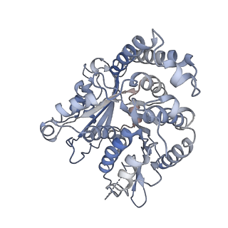 35823_8iyj_JM_v1-0
Cryo-EM structure of the 48-nm repeat doublet microtubule from mouse sperm