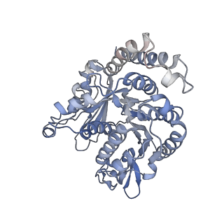 35823_8iyj_JP_v1-0
Cryo-EM structure of the 48-nm repeat doublet microtubule from mouse sperm