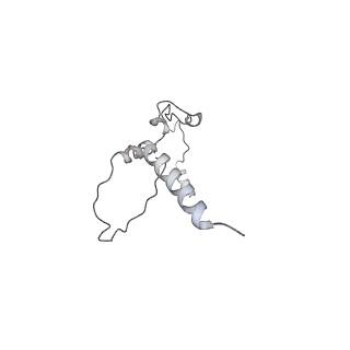 35823_8iyj_K1_v1-0
Cryo-EM structure of the 48-nm repeat doublet microtubule from mouse sperm