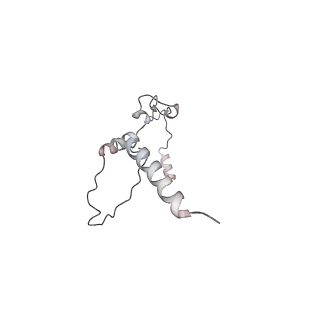 35823_8iyj_K2_v1-0
Cryo-EM structure of the 48-nm repeat doublet microtubule from mouse sperm